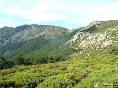 Collado Najarra-Hoya San Blas; serrania de ronda senderismo sierra nevada bastones trekking